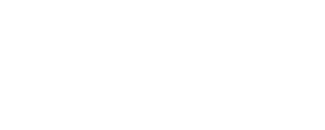 logo voolgarizm white transparent backgroundpng